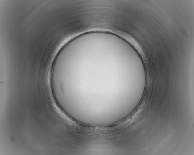 X0000111920958200907271006