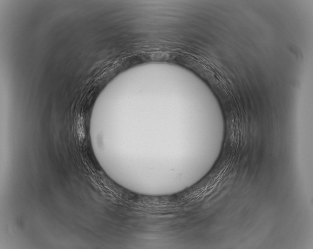 X0000111920962200907271006