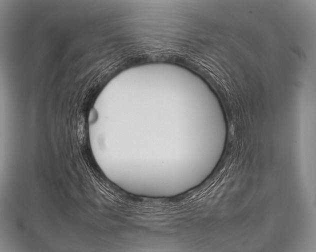 X0000111920963200907271006