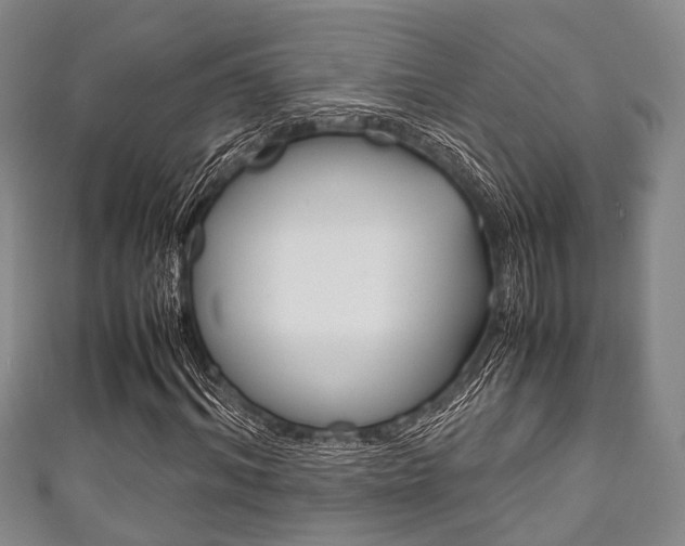 X0000111920964200907271006