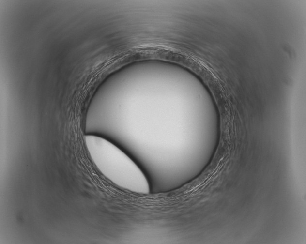 X0000111920965200907271006