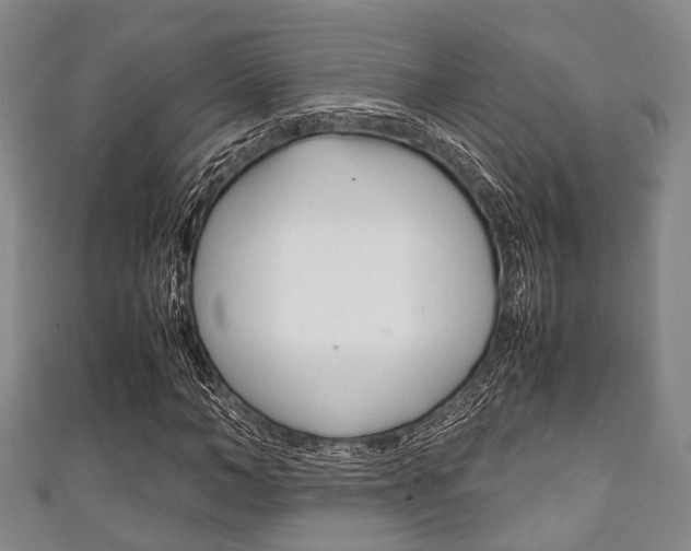 X0000111920966200907271006