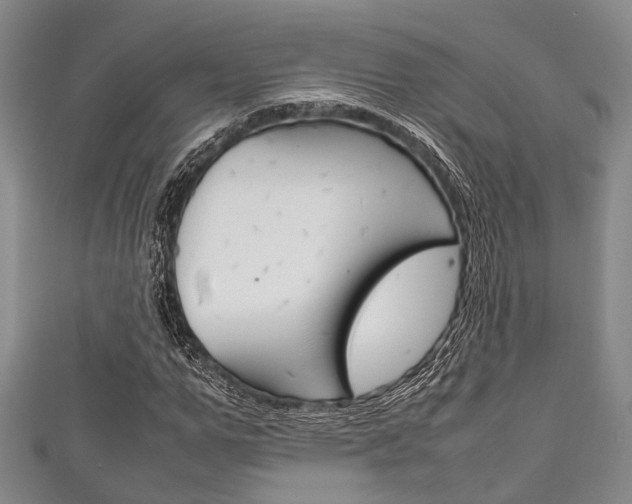 X0000111920967200907271006