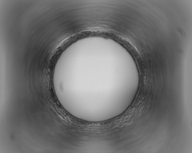 X0000111920968200907271006