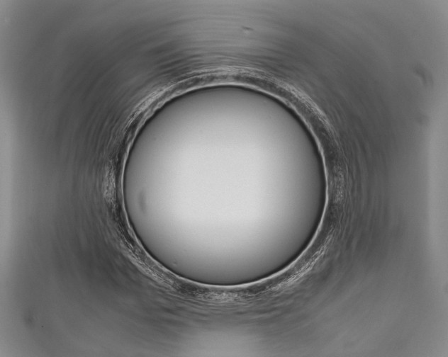 X0000111920969200907271006