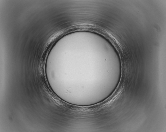 X0000111920970200907271006