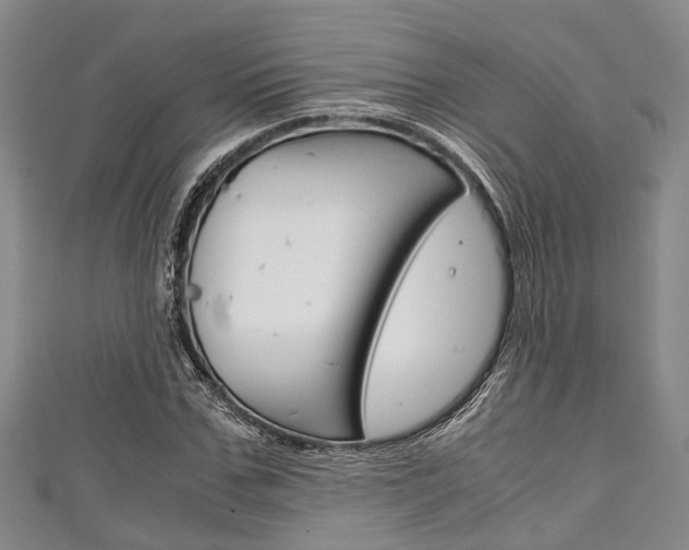 X0000111920971200907271006