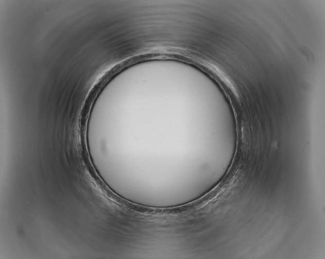 X0000111920972200907271006
