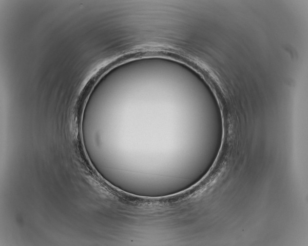 X0000111920973200907271006