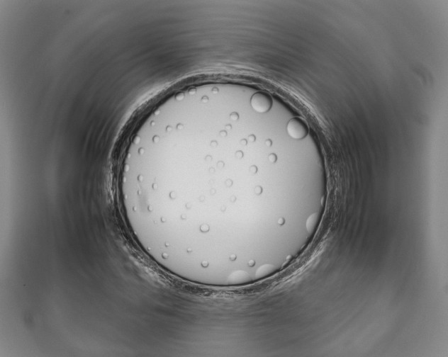 X0000111920974200907271006
