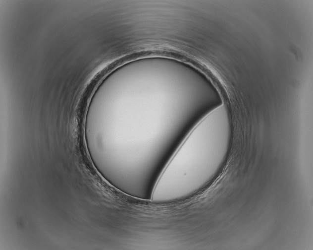 X0000111920975200907271006
