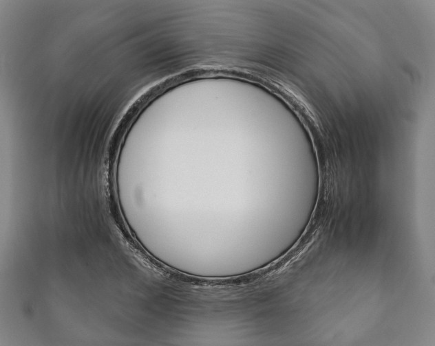 X0000111920976200907271006