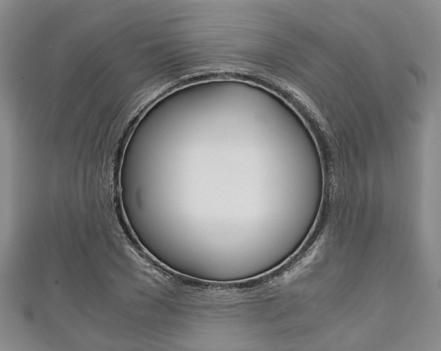 X0000111920977200907271006