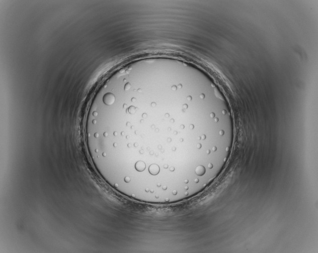 X0000111920978200907271006