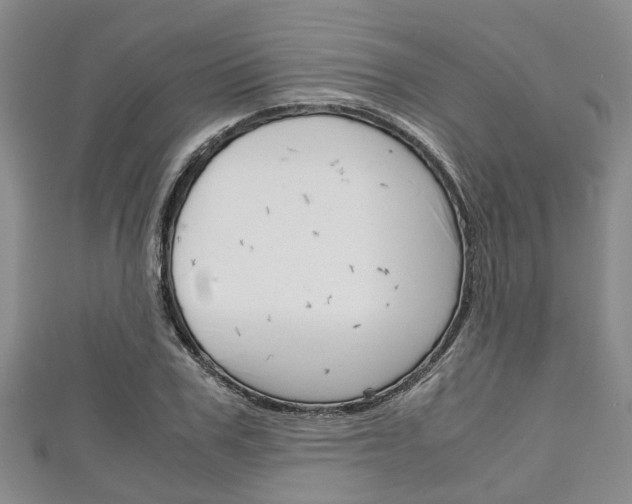 X0000111920979200907271006