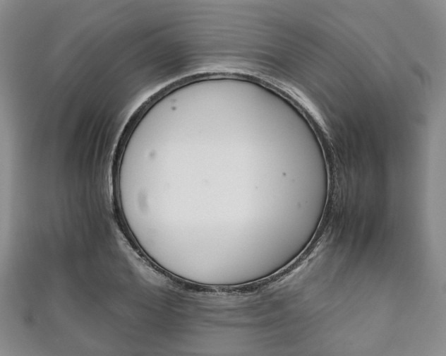 X0000111920980200907271006