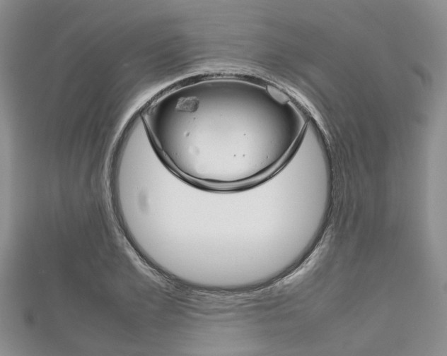 X0000111920981200907271006