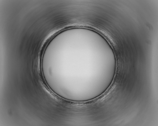 X0000111920982200907271006