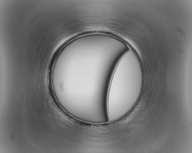X0000111920983200907271006