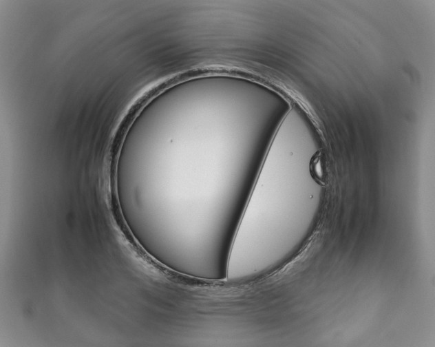 X0000111920984200907271006