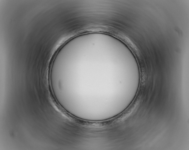 X0000111920986200907271006