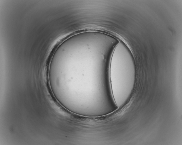 X0000111920987200907271006