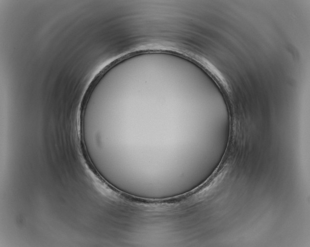 X0000111920988200907271006