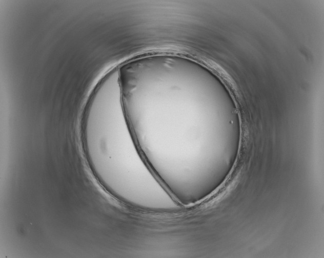 X0000111920989200907271005