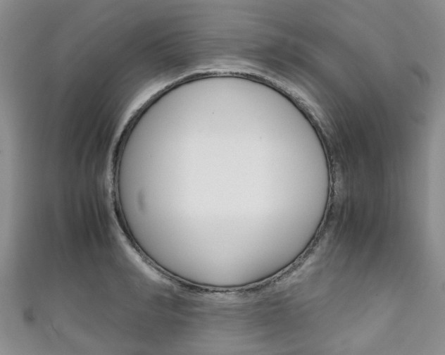 X0000111920990200907271005