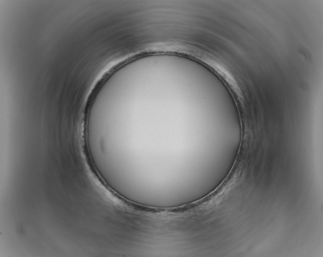 X0000111920992200907271005