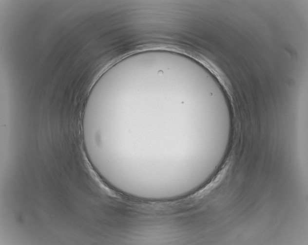 X0000111920993200907271005