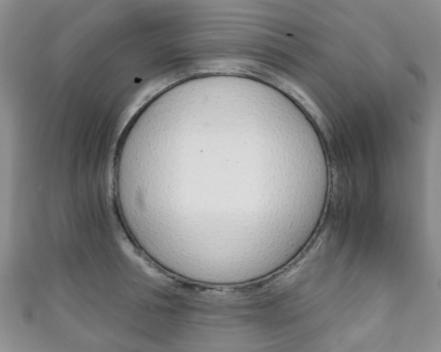 X0000111920994200907271005