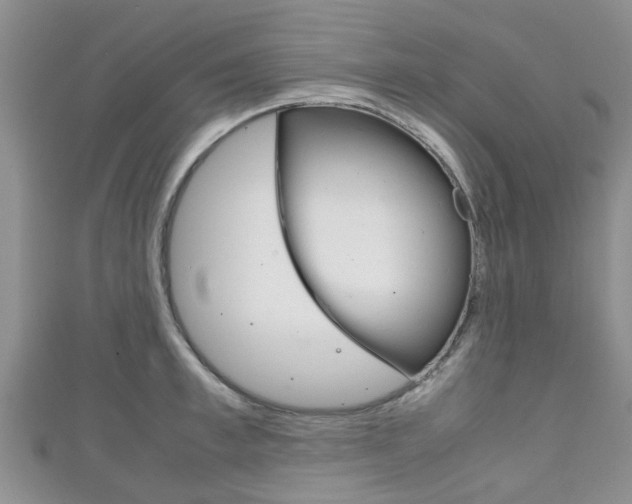 X0000111920997200907271005