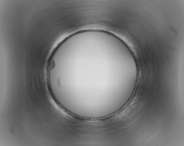 X0000111920998200907271005