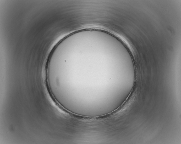 X0000111920999200907271005