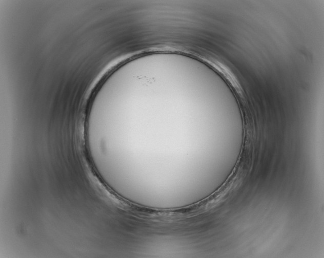 X0000111921000200907271005