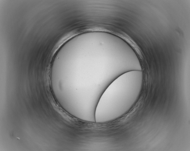 X0000111921002200907271005