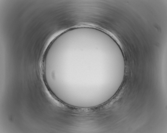 X0000111921003200907271005