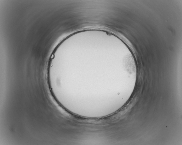 X0000111921005200907271005