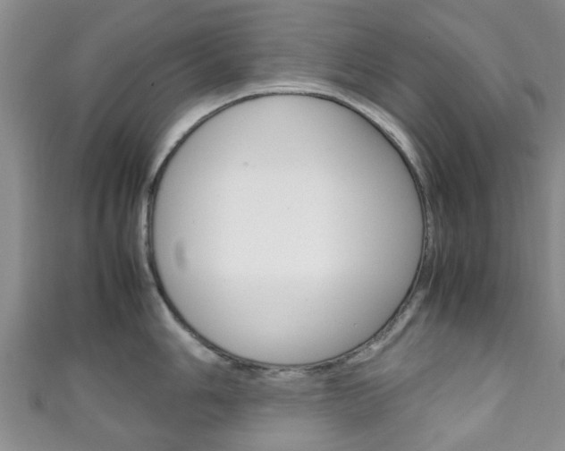 X0000111921006200907271005