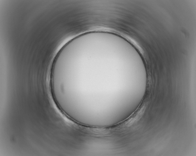 X0000111921007200907271005