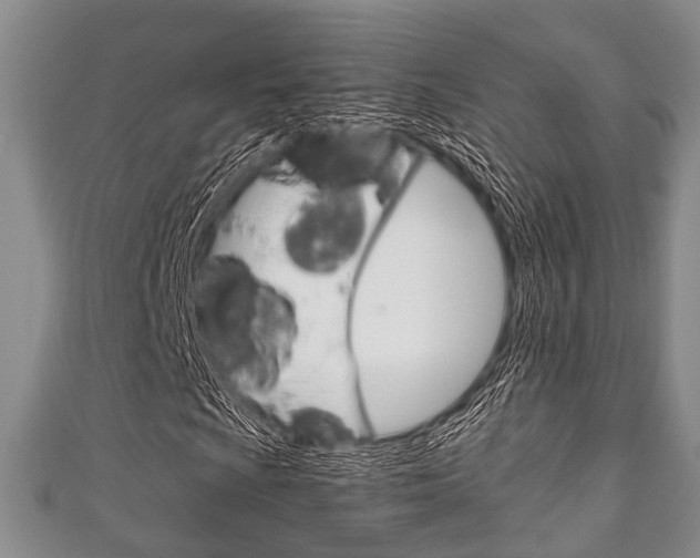 X0000111921009200907271005