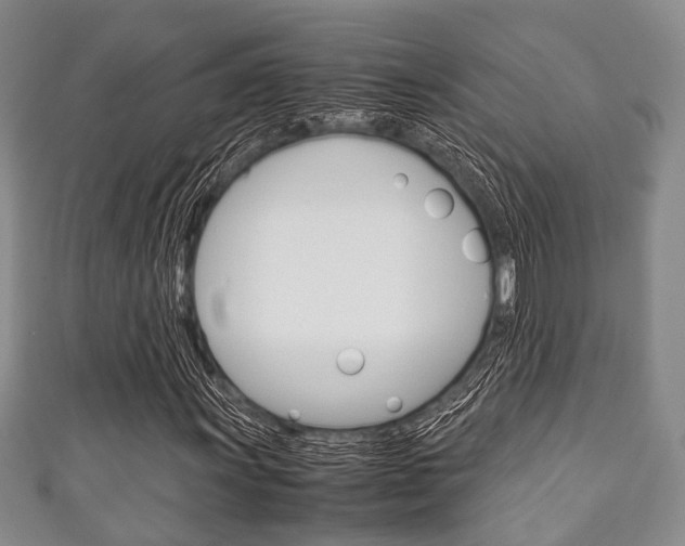 X0000111921011200907271005