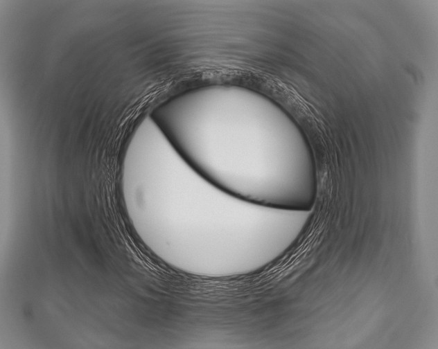 X0000111921012200907271005
