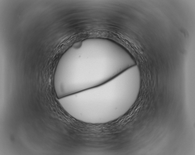 X0000111921013200907271005