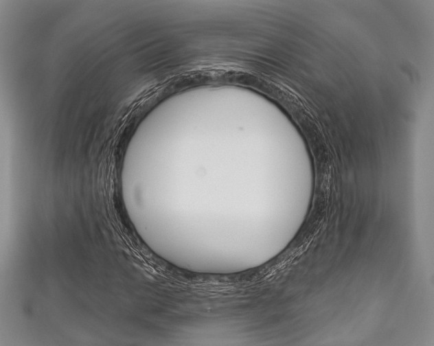 X0000111921014200907271005