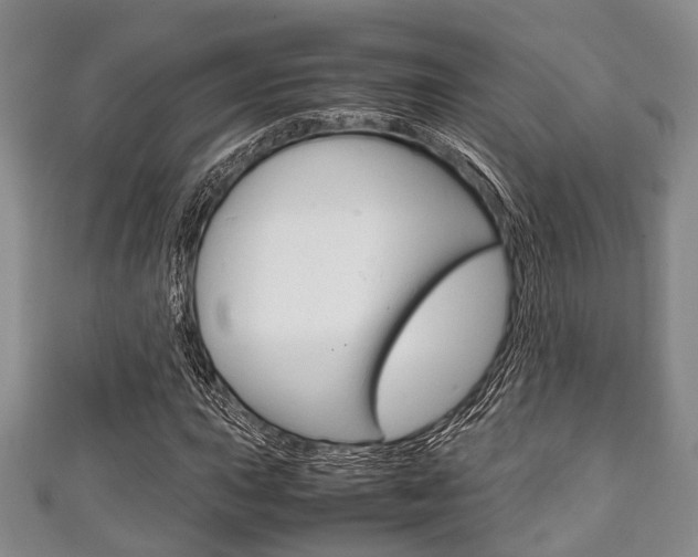 X0000111921015200907271005