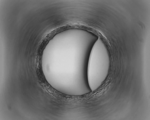 X0000111921016200907271005
