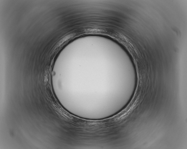 X0000111921017200907271005