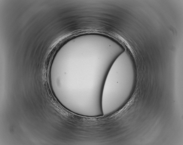 X0000111921019200907271005